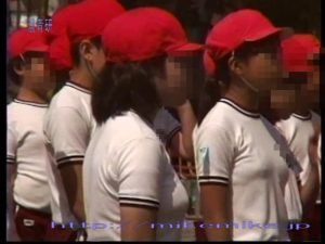 Ｂのアルバム　ｓ304[STV30-4]