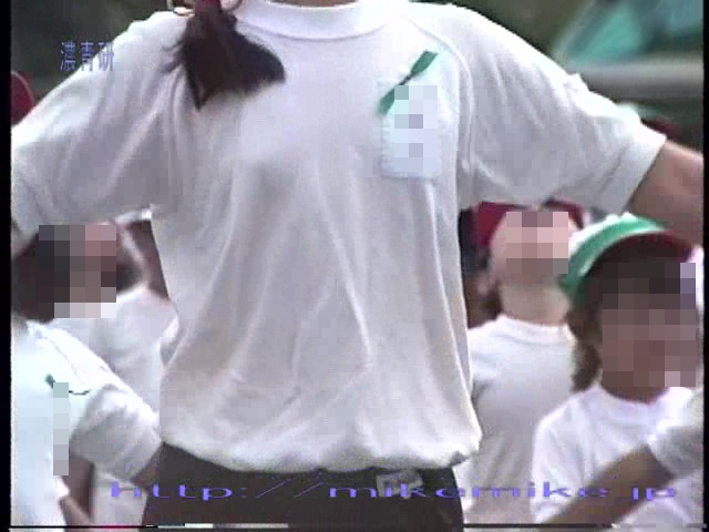 ふぃーるどあすれちっくst471(STV47-1)